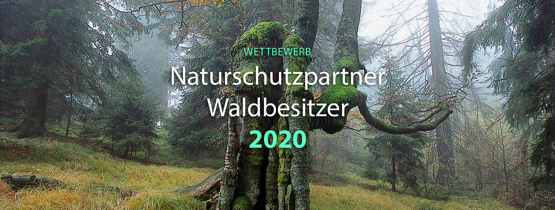 Titelbild des Wettbewerbes Naturschutzpartner Waldbesitzer 2020.